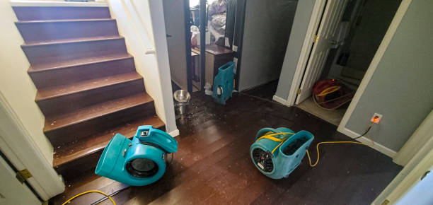 Best Water damage restoration company  in Maricopa, CA