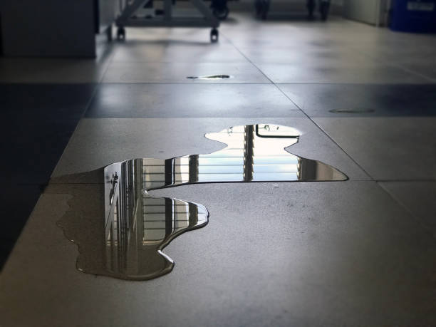 Best Water damage cleanup near me  in Maricopa, CA