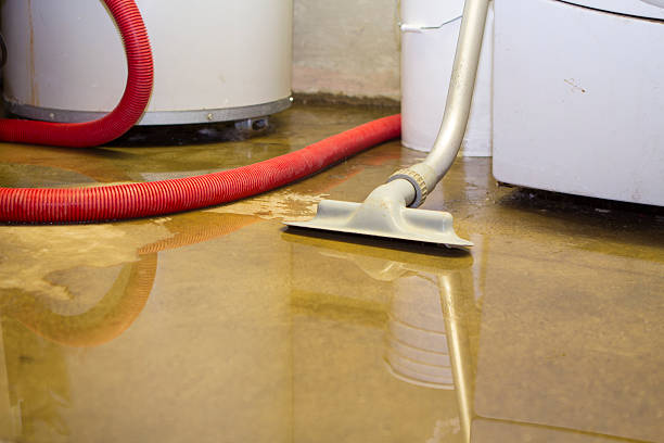 Best Flood damage cleanup  in Maricopa, CA