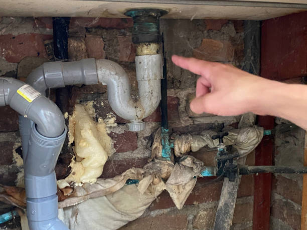 Best Local water damage restoration  in Maricopa, CA